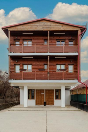 Business Transit to Therme & Bucharest Airport